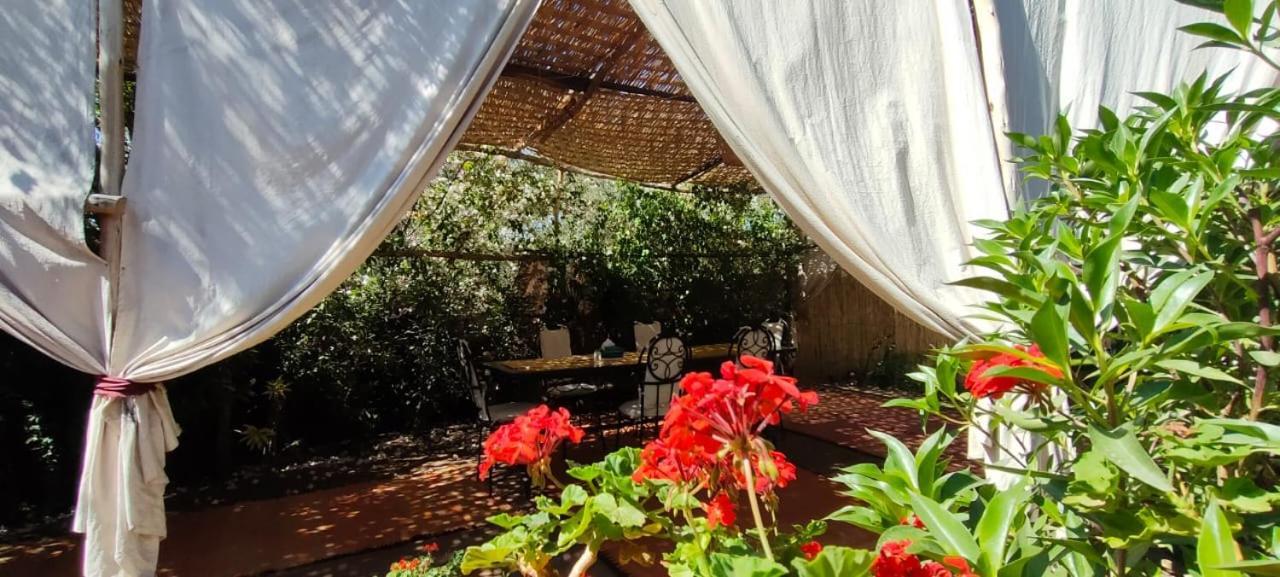 Dar Tadout Guest House Aït Ourir Екстериор снимка