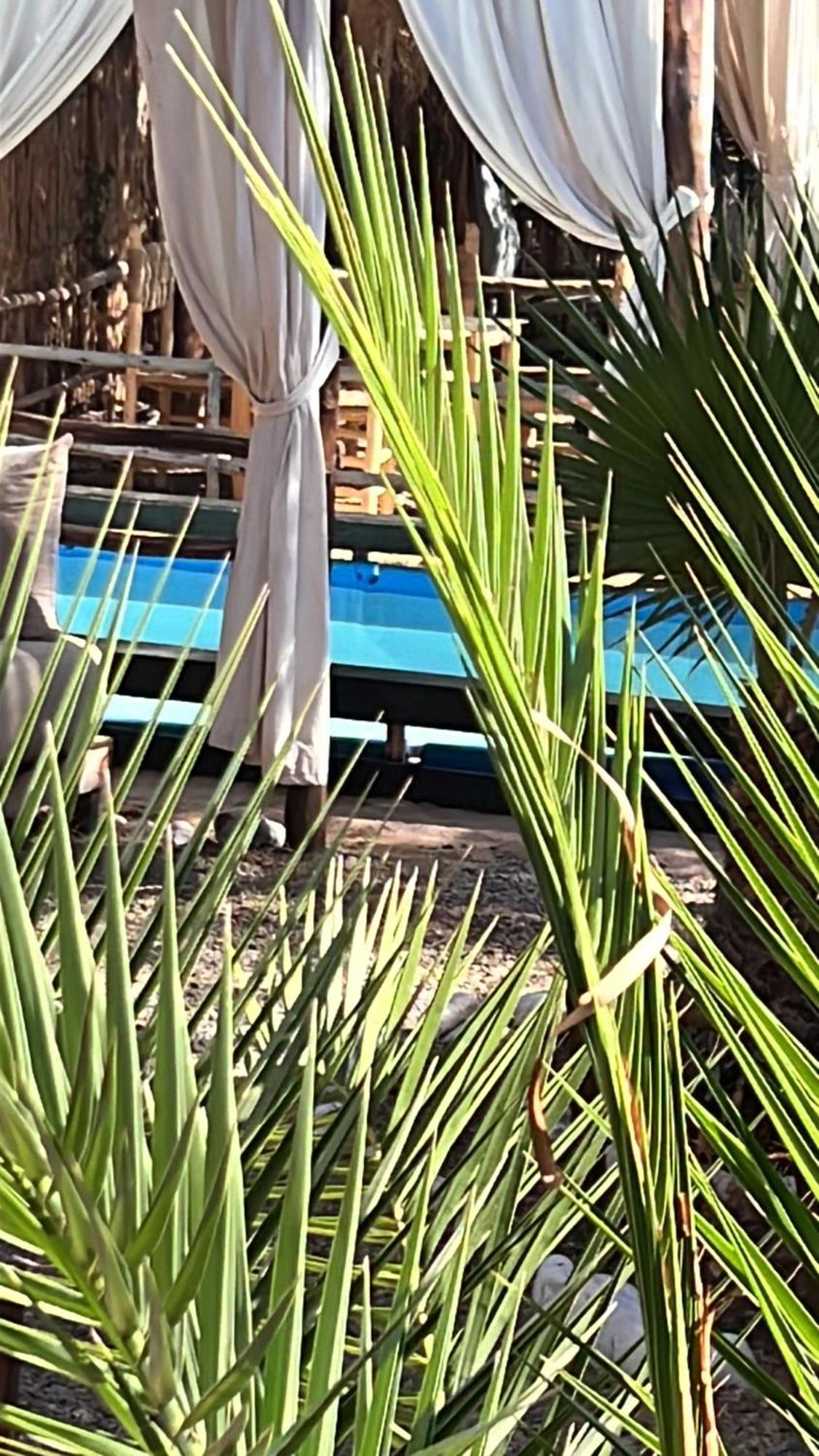 Dar Tadout Guest House Aït Ourir Екстериор снимка